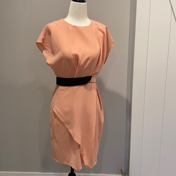 ASOS Pink Dress with Black waistband - Picture 1 of 6